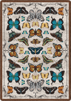 English Collector Cabinet- Butterflies Multi